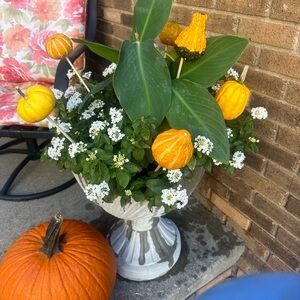 Meet your Posher, Heidi